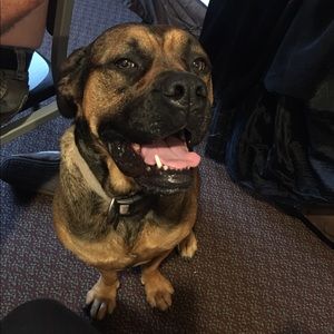 Meet your Posher, Mary